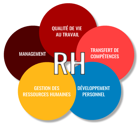 Management Des Ressources Humaines Par Jem Consulting Alsace