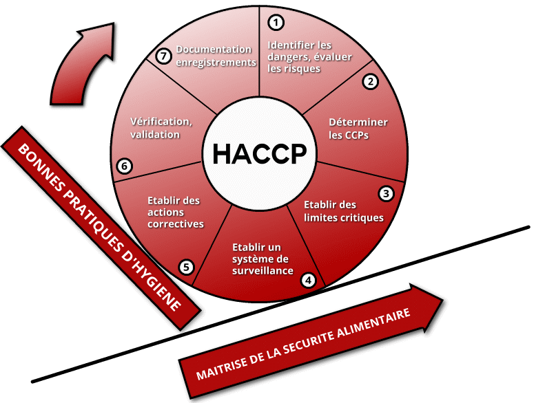 Principes généraux en hygiène alimentaire par Jem Consulting Alsace